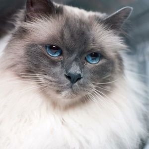 Meet your Posher, Patricia